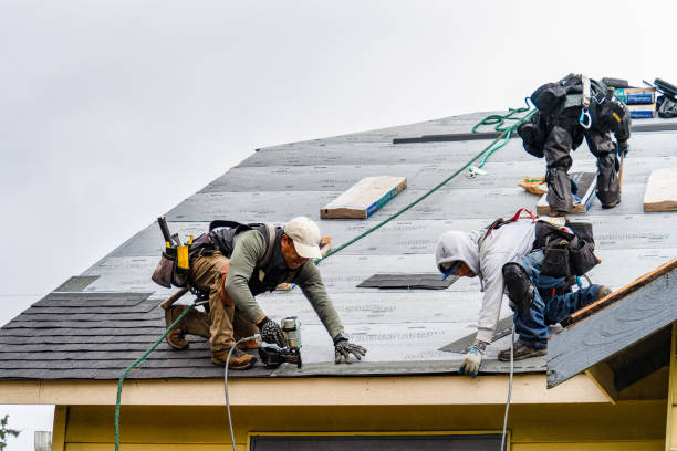 Professional Storm Damage Roof Repair technician working in Potterville, MI